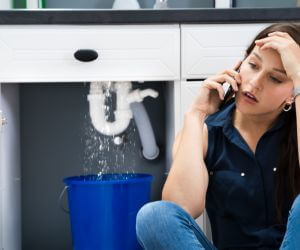 About Emergency plumbing pros Bon Aqua, TN